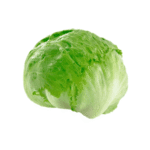 Lechuga Americana